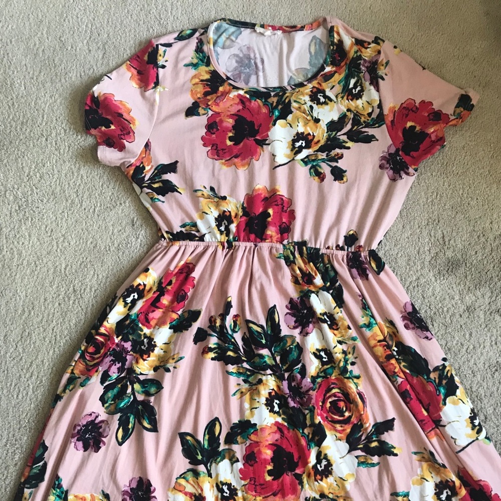 Mint Julep Boutique Floral Pink Dress Sz L